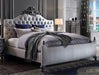 Acme Furniture House Delphine Queen Upholstered Bed in Pearl White 28850Q image