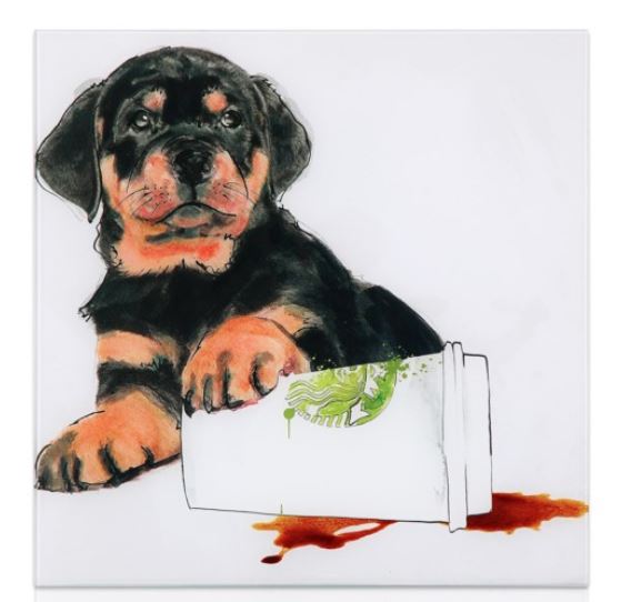 Picture Java's Paw (Rottweiler) Free Floating Art Glass