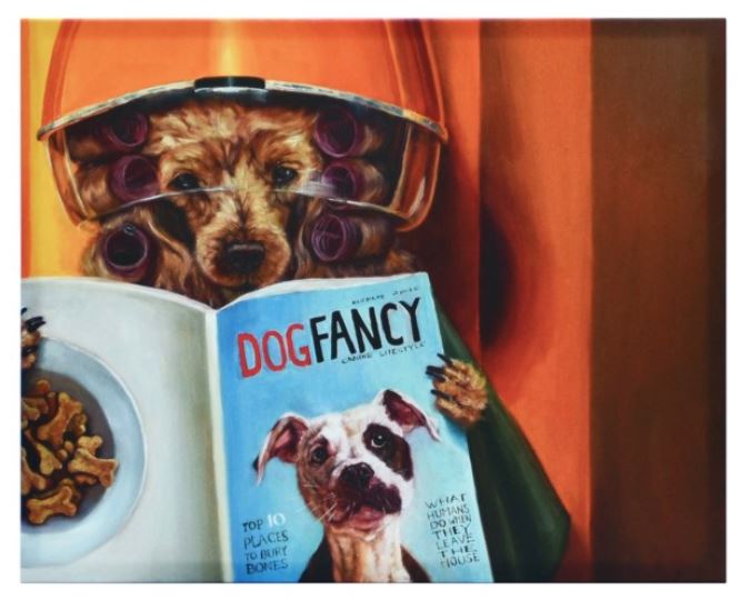 Picture Spa Day  Dog at the Beauty Parlor Reading DogFancy
